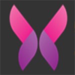 黄金网站软件APP免费安卓版