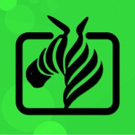 黄金网站APP在线观看下载10免费版